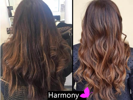 peluqueria Harmony Mechas